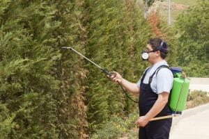 women spraying for pest control