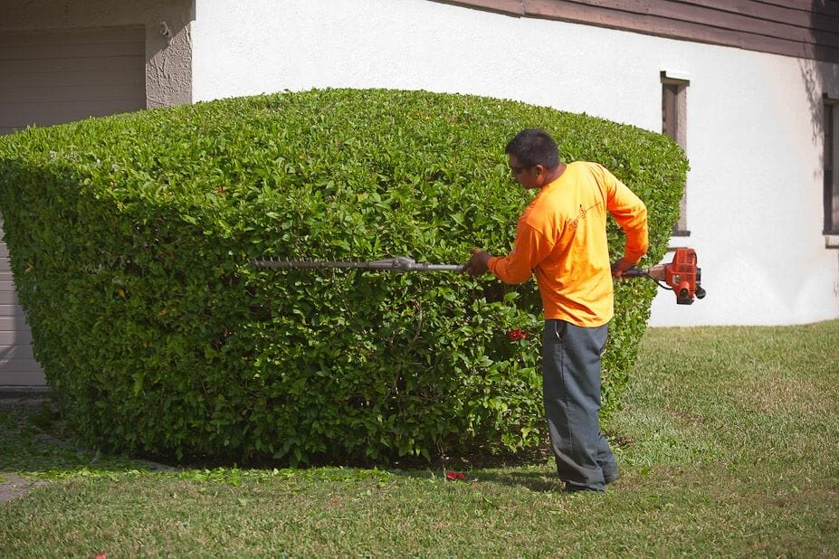 Landscape Maintenance