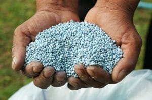 Commercial Landscape Treatments: Fertilization and Pest Control